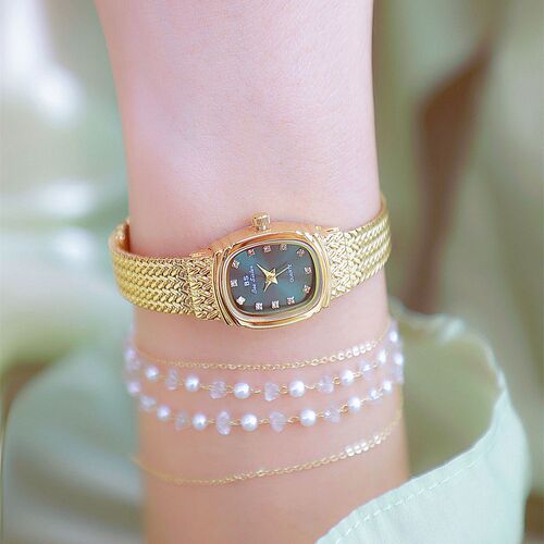 BS new hot-selling factory direct sales foreign trade light luxury INS wheat ear watch simple temperament female small gold watch FA1711