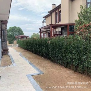 ���ع����������S���С�� �������S��Ҏ���Rȫ  �r�񃞻� $