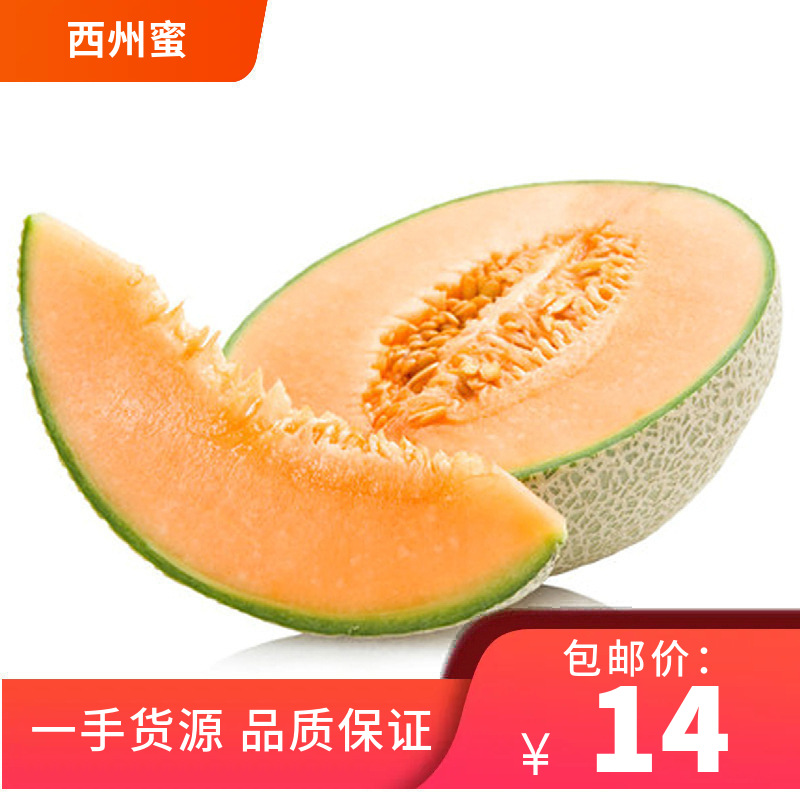 Shandong Hami melon Xizhou honey melon fresh fruit whole box free shipping fresh produce one piece dropshipping