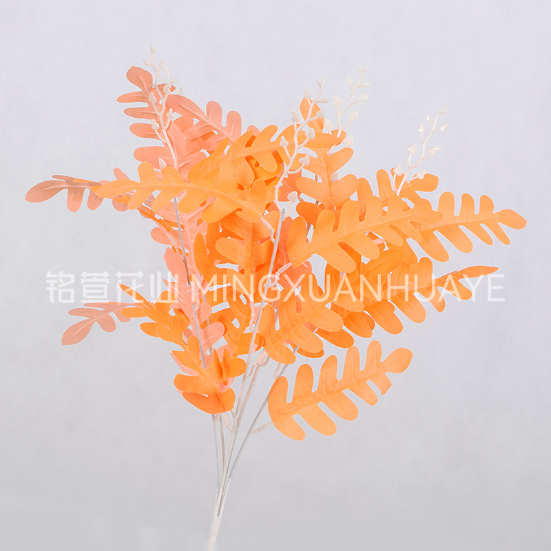 주황색 - 아카시아 잎 다발