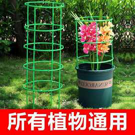 可无限叠加花卉蔬菜支架拼接多层支撑圈爬藤架花架护叶防倒伏支撑