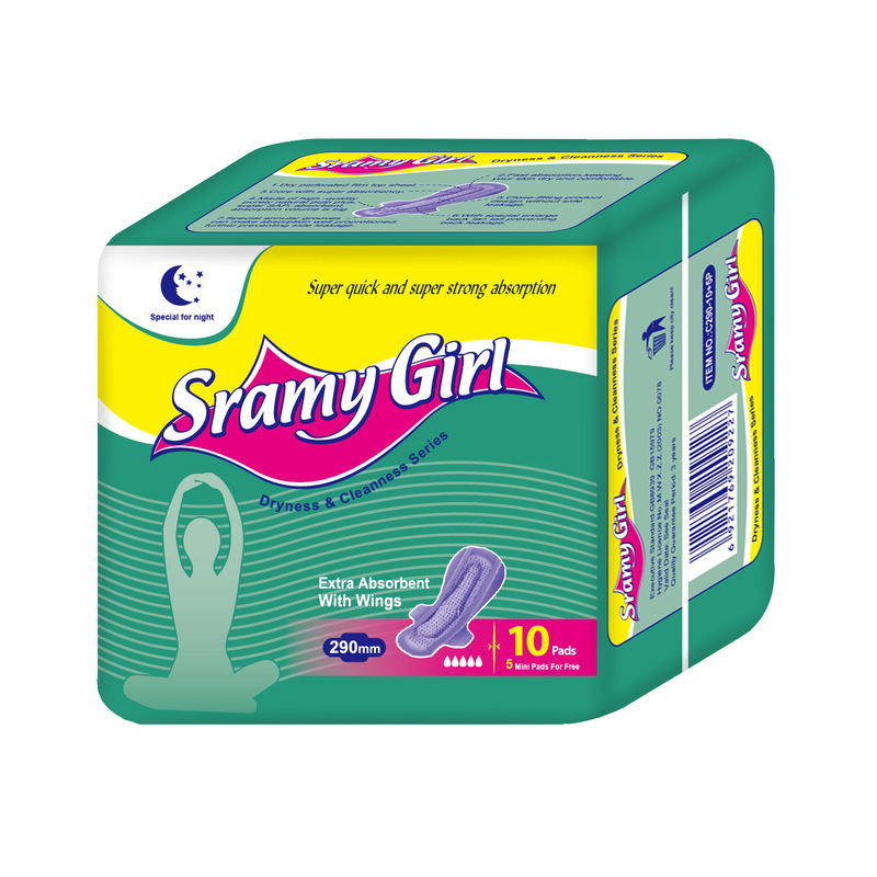 Breathable and Dry Aunt Napkin Menstrual Pants Sanitary Napkin Export Foreign Product Sanitary Napkin Day and Night with Pad 10+5