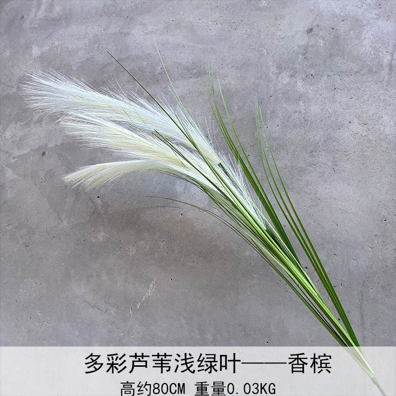 Caña hierba simulación de flores Cai Guoqiang Fuegos artificiales Caña Fuegos artificiales diurnos Fuegos artificiales diurnos Caña Fuegos artificiales