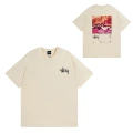 Apricot 922