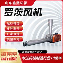 罗茨风机运行稳定厂家碳钢材质真空泵鱼塘养殖气力输送罗茨风机