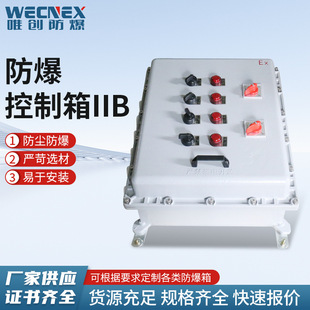 Explosion-Proof Control Box Iib Maintenance Socket Box Lighting Power Distribution Box Switch Box Fan Professional Grade
