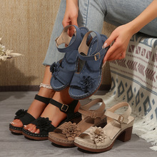 2025�¸���כ�ЬŮЬ�羳�ָ���a�����b�һ�֎��W���L��߸�