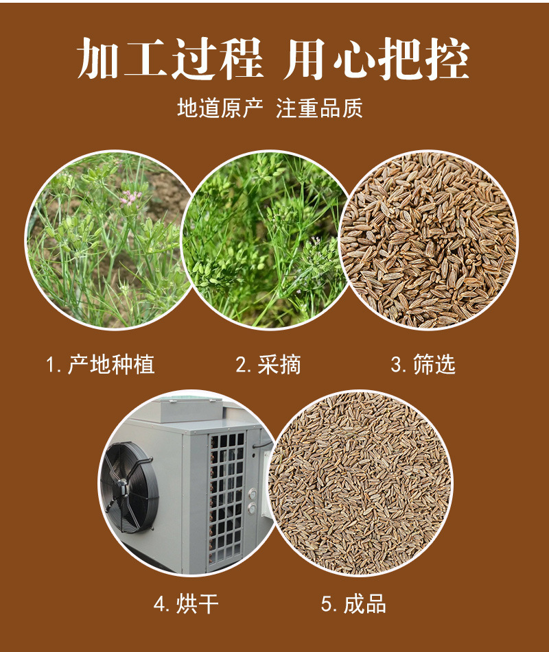 Cumin Seeds (Cuminum cyminum) — Xinjiang Whole Cumin for BBQ & Spice Blends preparation
