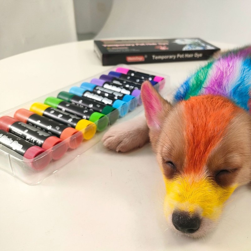 ペット専用のヘアカラー棒は毛を傷つけないで洗いやすいカラーの毛染めクリーム犬猫の毛染めクリーム|undefined