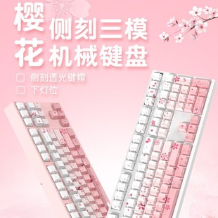 ��тȿ̷�ɫ��ģ�Cе�I�P108�I�o���{���錢��Ů���k��RGB�o���S