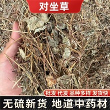 ���Ɍ�������ș�� ������ ����� ���� �~�X���в�ș���l��ȫ