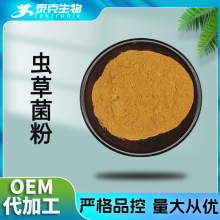 虫草菌粉99% 发酵虫草菌丝粉 发酵虫草菌丝体 蝙蝠蛾拟青霉菌粉