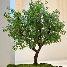 �����Ř���ͼ٘��S�Ƶ��҃����쾰�����Gֲ�b�ƽ���侰�^��