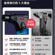 ���L�����c���������C�����c����ѩ���c���L�ֱ�������