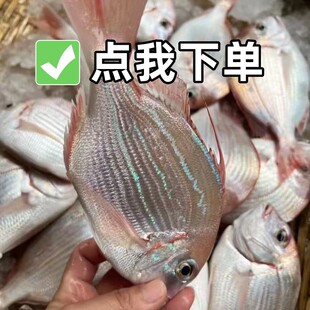 ���������خaС�t���~���r��ឱ��r�~�t�D�~�t�_���~���rˮ�a5��