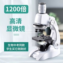 1200������С�W���@΢�R���I�ƌW�����������b��ͯ���