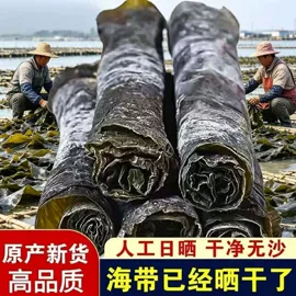 海带;紫菜;水产干货类