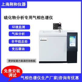 G51Pro硫化物分析专用气相色谱仪天然气中硫化物色谱分析仪