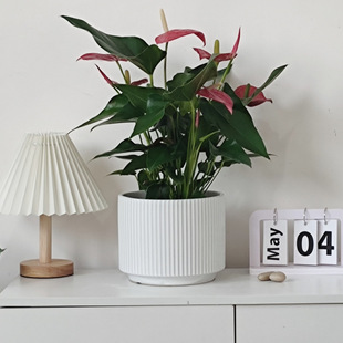 �մɻ�����ÿ͏d�p�ݰ�ɫ��̖�lؔ������m��������