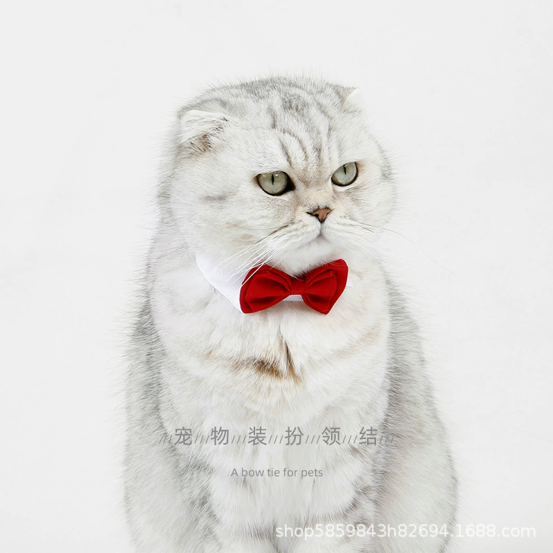 Кошачий галстук-бабочка домашнее животное одеваются Amazon аксессуары для домашних животных Свадебные аксессуары праздничный красный галстук-бабочка для собаки