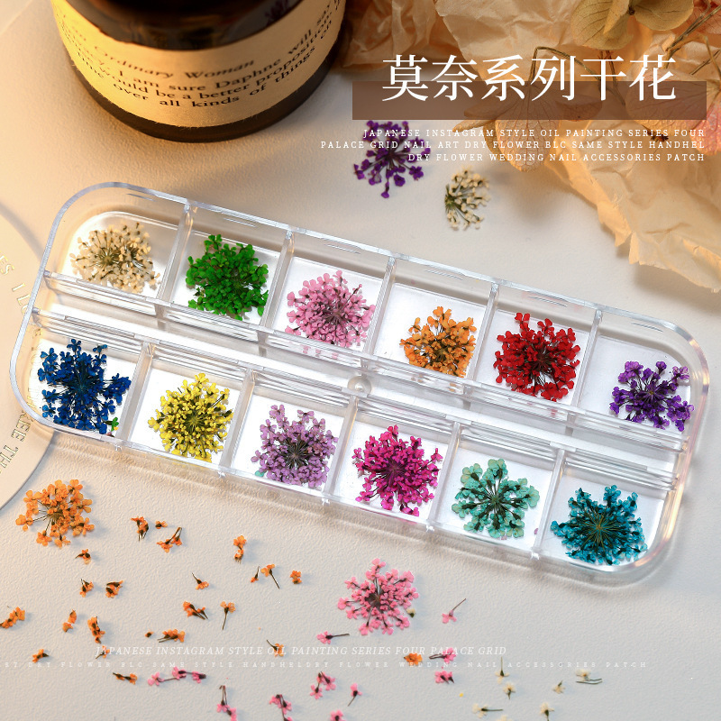 Summer nail ornaments 12 grid mixed dried flower floral gypsophila natural small flower explosion nail ornaments wholesale