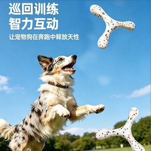�羳�����Ӗ���w�P�������ҧĥ��߅����ë�»�Ӗ����Ӗ������