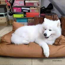 ¿WtɳlɳlCճëץ؈ɳl˯|Ʒ