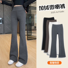 ������ë����΢����Ů2026�����¿��������ݴ��������������2939