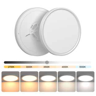 �羳�����ɿع賬��led��픟�12��24W�װ��bETL/FCC�J�C��ɫ��