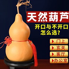 ��Ȼ���J�������J�Ї��Y���鲻�_���T���T�͏d�[����̖���旗ľ
