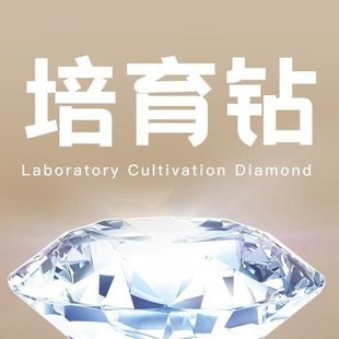 1 karat Diamond Laboratory Gored Diamond DEF Color Synthetic Diamond Round Gored Diamond Wholesale Bare Diamond
