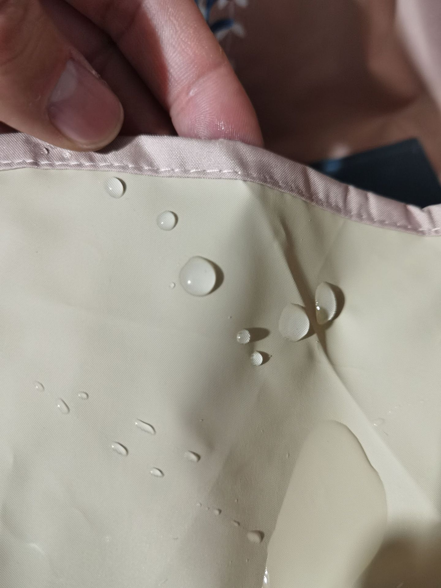 e18dca0c819c8810cceb1f872e9589