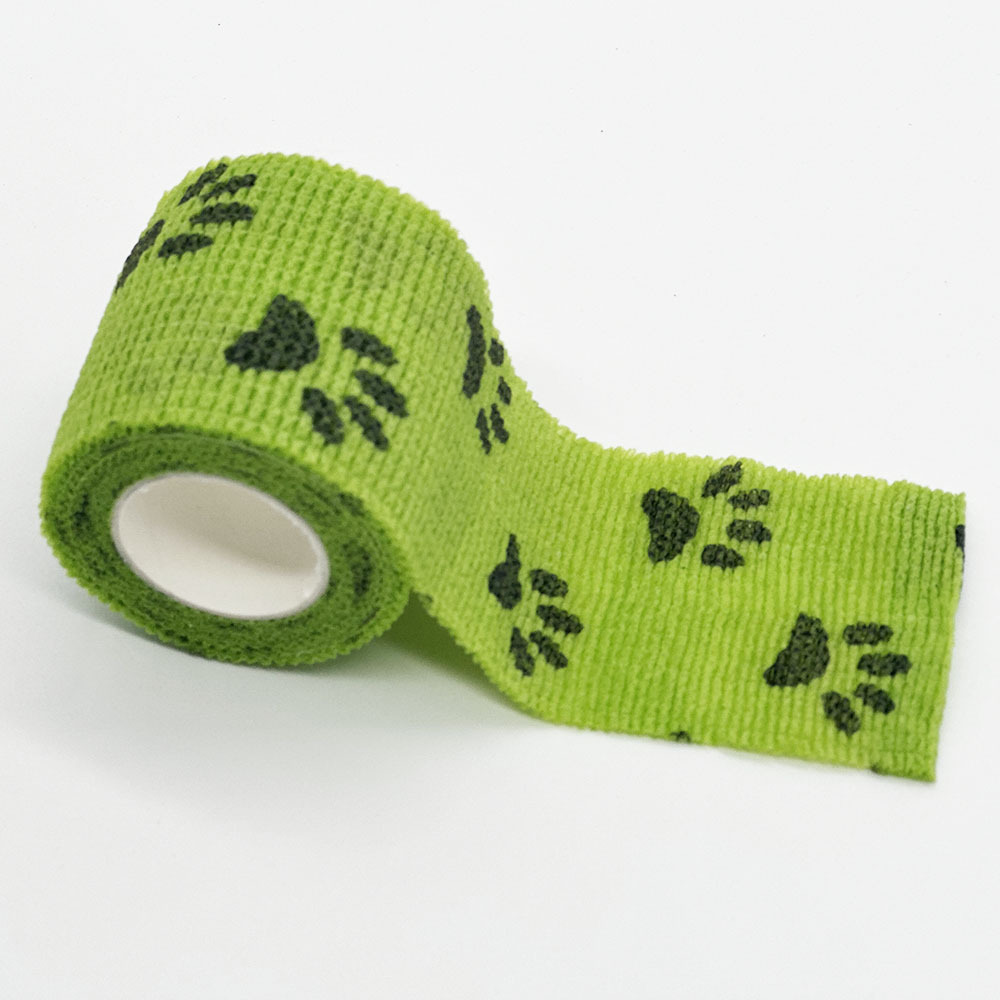 El Gato Verde