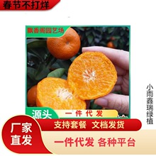 ɰ�����Ә������������Ě�����Ե��Գ��ӟo�����٘��箔��Y��