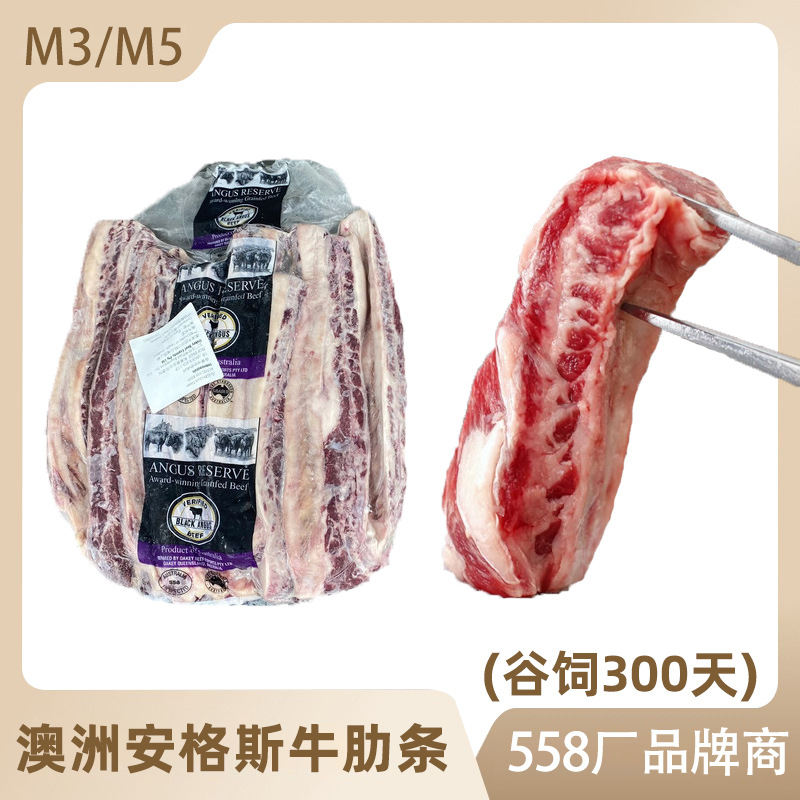 澳洲558厂安格斯M3M5牛肋条 冷冻肋条肉谷饲长肋条雪花胸腹肋肉