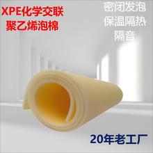 SֱN pe xpe ϩlݲ ϩ ϩ