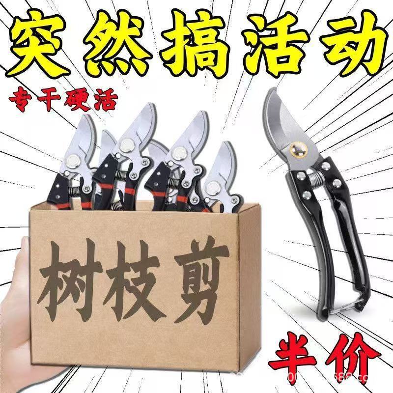 微信图片_20250918103836.jpg
