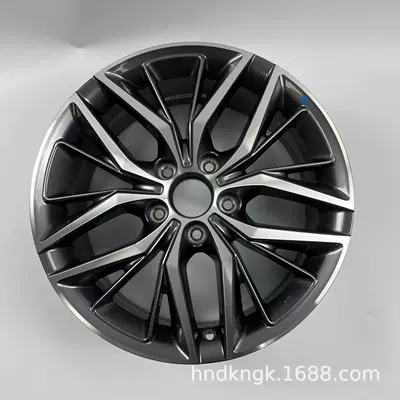 Compatible with Byd Hub - byd-qin-pius-17inch