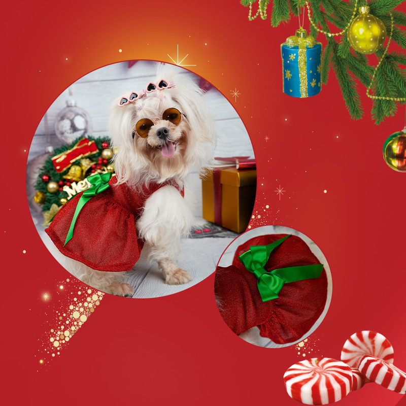 Ropa para mascotas falda de Navidad perro nuevo regalo de fábrica de ropa de Navidad para los ancianos transfronterizos