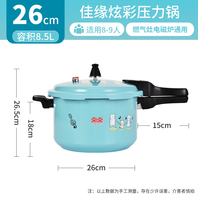 【国民ブランド】圧力鍋 家庭用ガス電磁調理器 万能スープポット シチューポット 圧力鍋|undefined