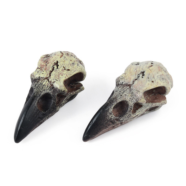 skull