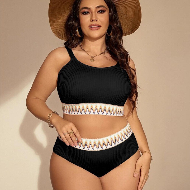 2024 new cross-border Amazon Europe and America sexy plus size high waist split bikini ladies swimsuit manufacturers wholesale