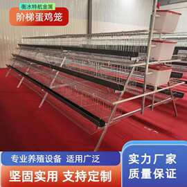 阶梯蛋鸡笼三层四层多层镀锌丝鸡笼子 A字型层叠蛋鸡笼养殖场