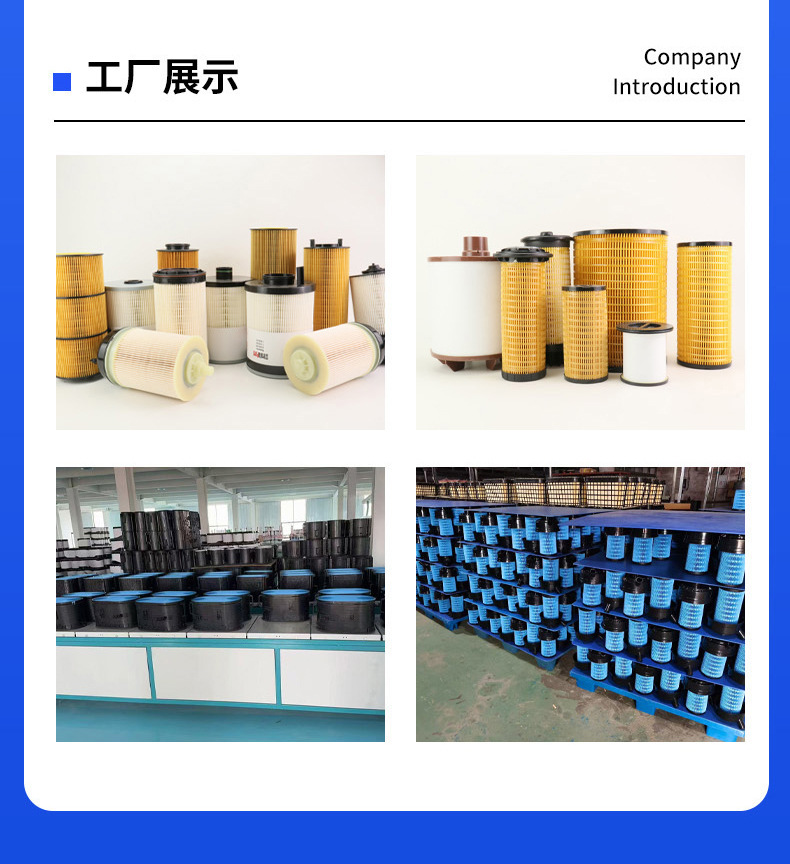 Auto Parts Support Customized Filter Elements Fs20176 R61709 Pf46235 Dder61709