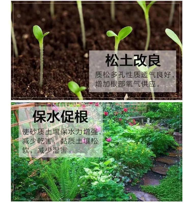 d4a91661-a50e-4357-ae2b-d0db17eba526.jpe