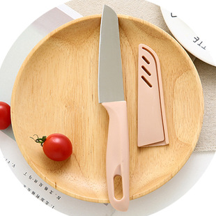 Scandinavian Color Kitchen Fruit Knife Stainless Steel Melon and Fruit Peeling Knife Portable Knife Fruit Cutting Knife
