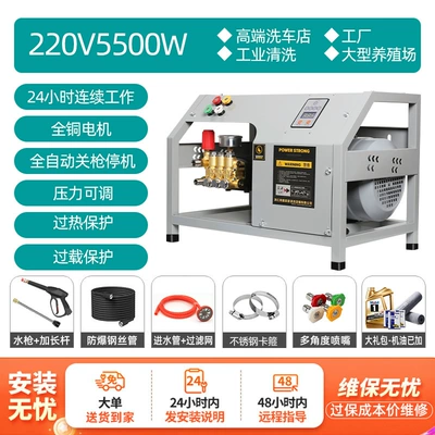 High-Power Cleaning Machine Water Gun | Car washing machine - level-4-silent-wall-mounted-super-energy-saving-220v5500w-290kg-10m-standard-version