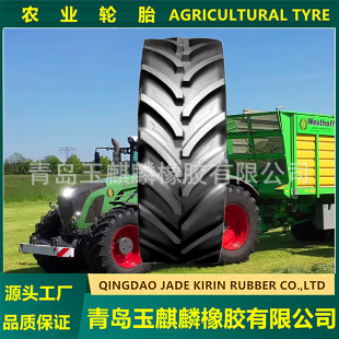 Forward Tianli Sprayer Tractor Tire 13.6R38 All Steel Radial Agricultural Tire 340/85R38