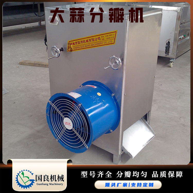 大蒜蒜种分瓣机 大蒜破瓣机 大蒜头分瓣机器 大蒜加工设备