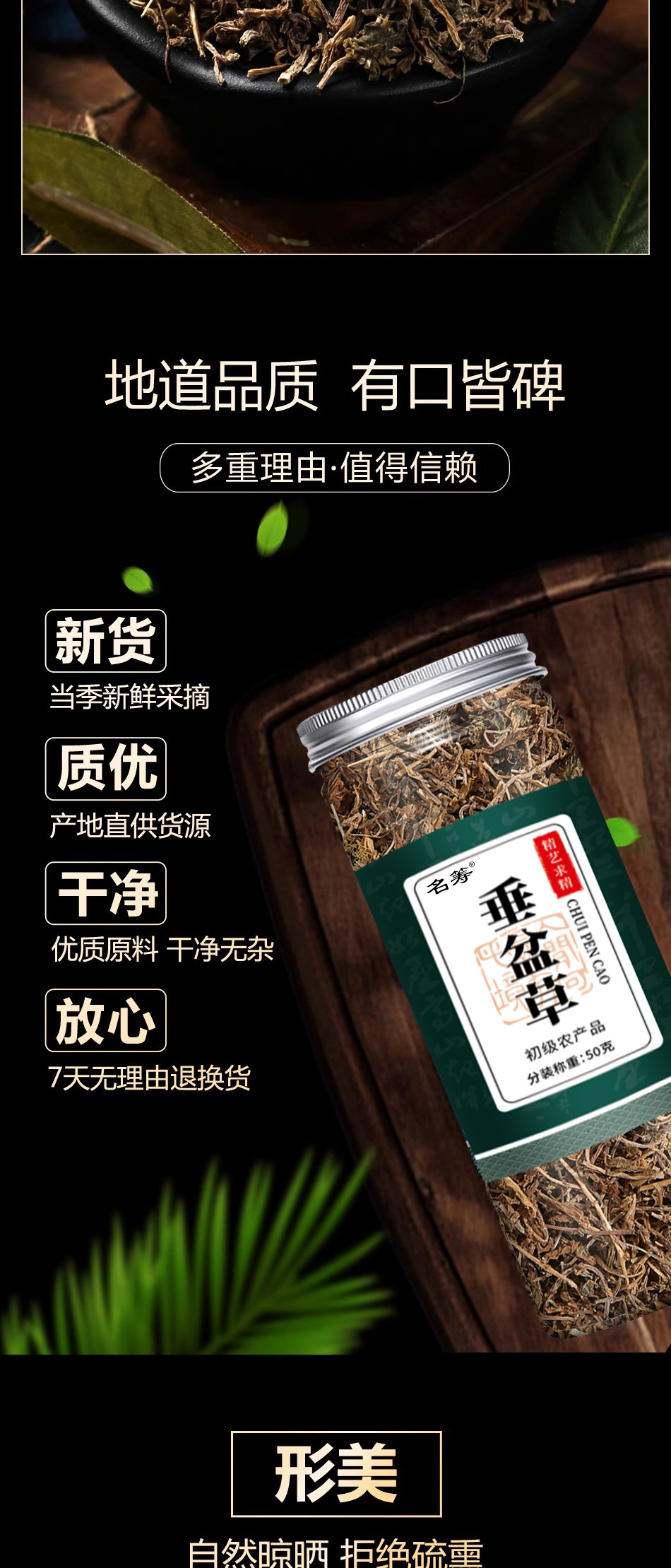 Dried Sedum Herb Chui Pen Cao 50g Chinese Herbal Decoction Pieces for Traditional Tea and Soup Use key features